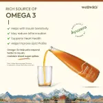 Sea Buckthorn With Turmeric Juice 300ml